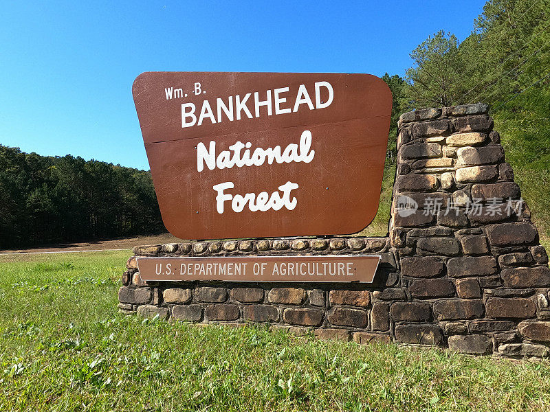 Wm B Bankhead国家森林标志在道路上